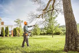 Trusted Whitefish Bay, WI Tree Care  Experts